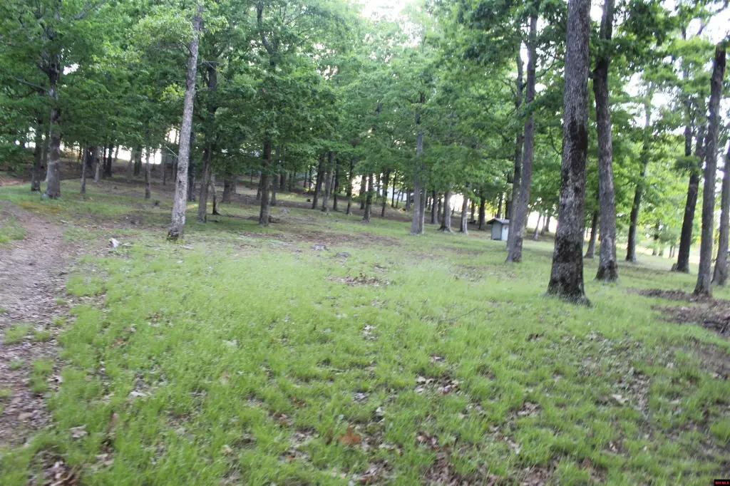 Picture 48