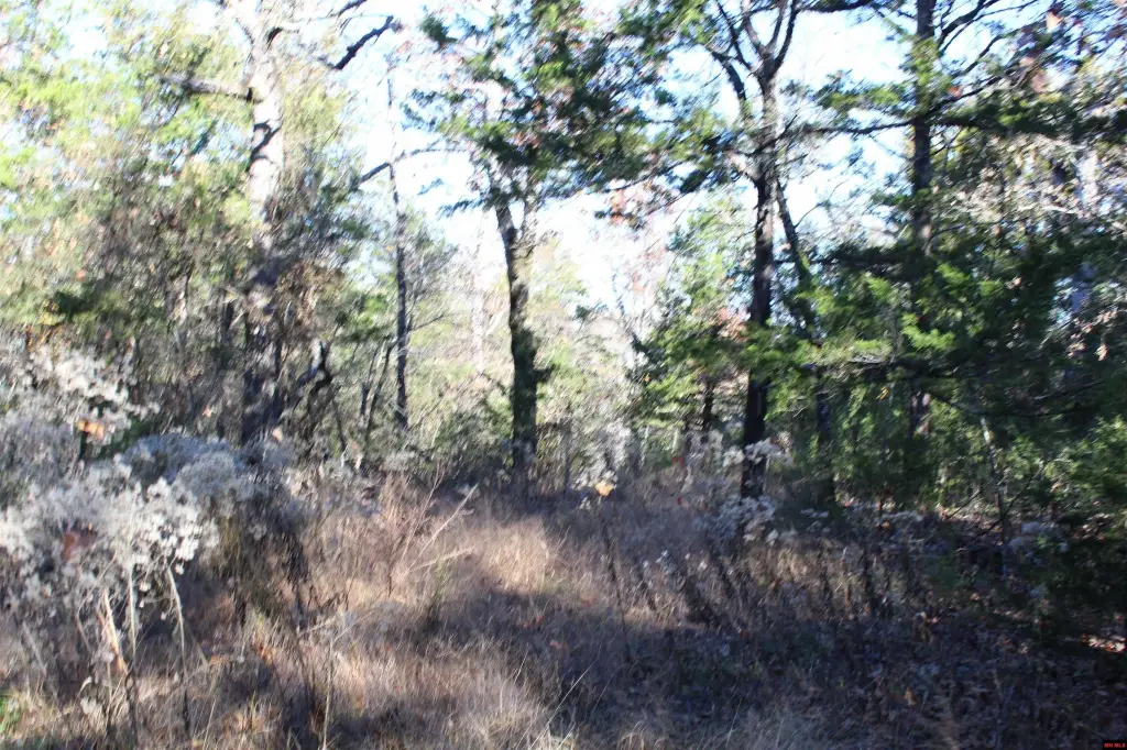 Picture 5