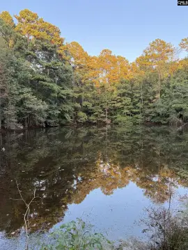 Waterfront Land Tract with Pond