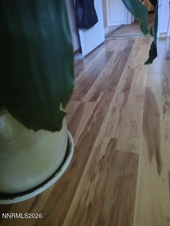 Picture 17