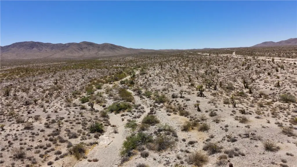 Picture 30