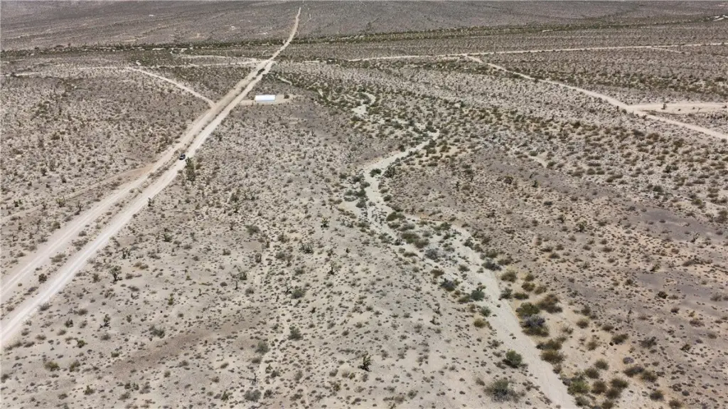 Picture 43
