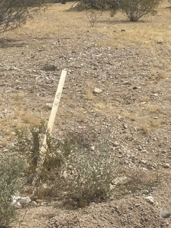 Picture 8
