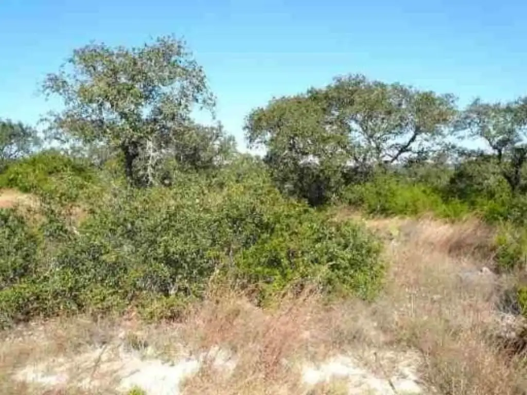 Picture 7