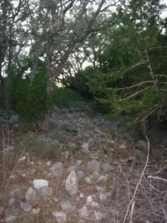 Picture 11