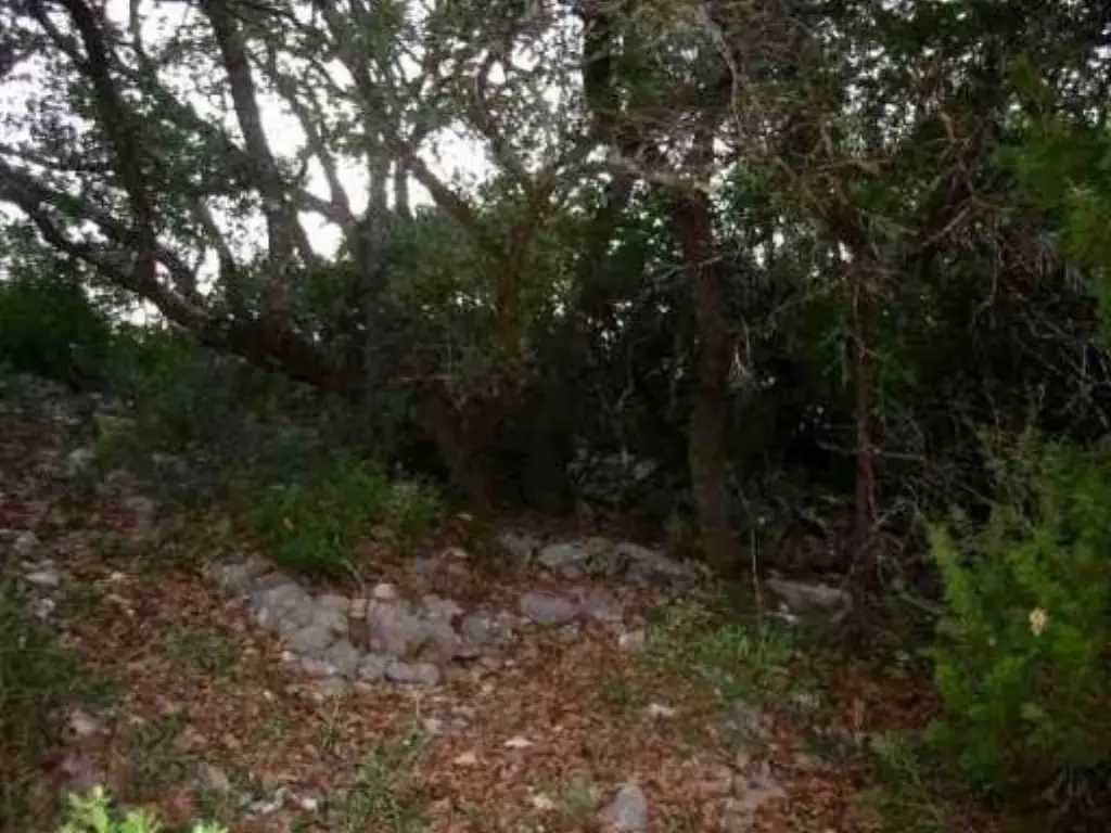 Picture 8