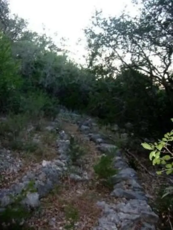 Picture 12