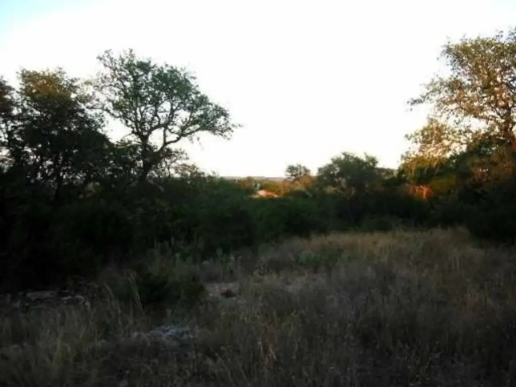 Picture 14