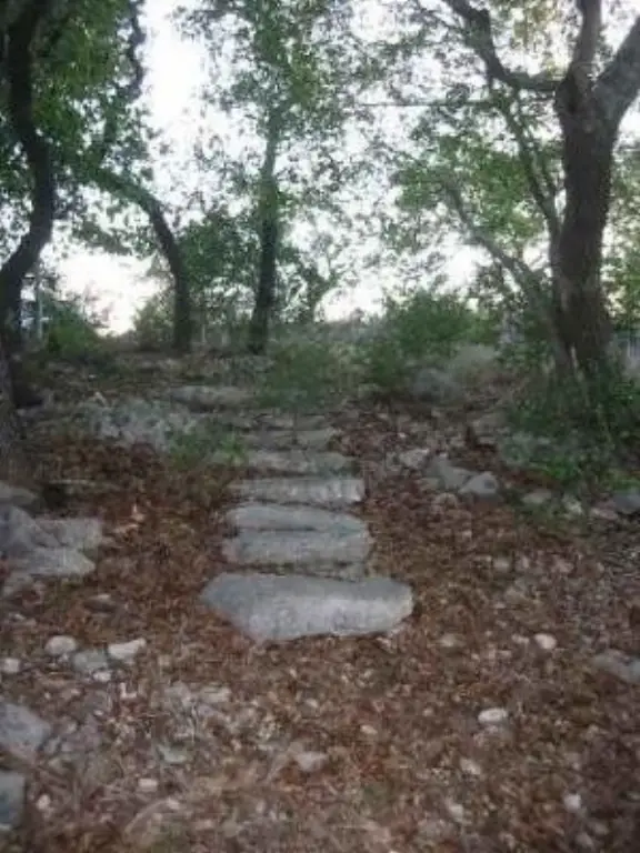 Picture 13