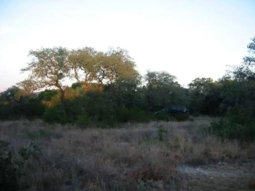 Picture 15