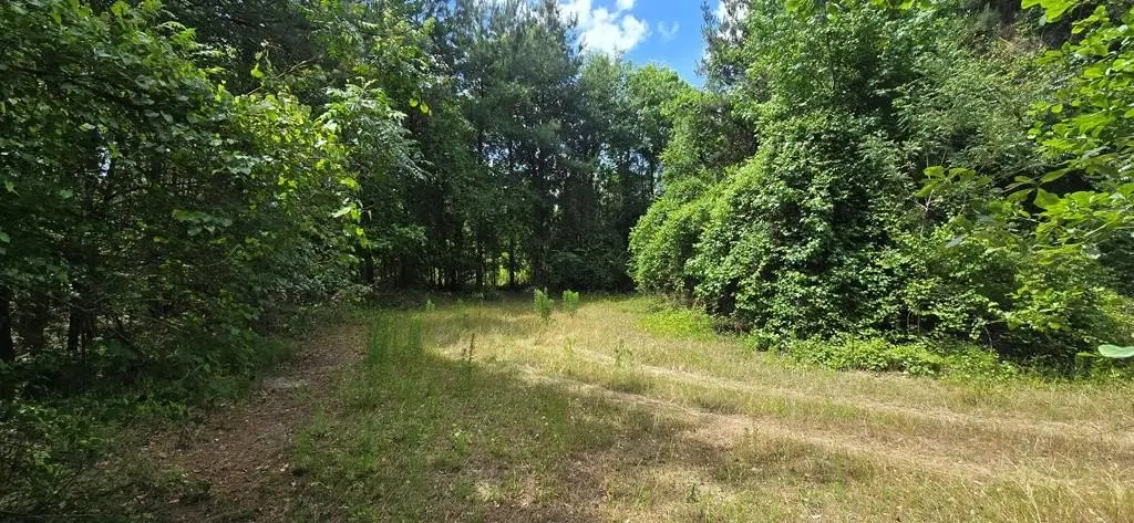 Picture 4
