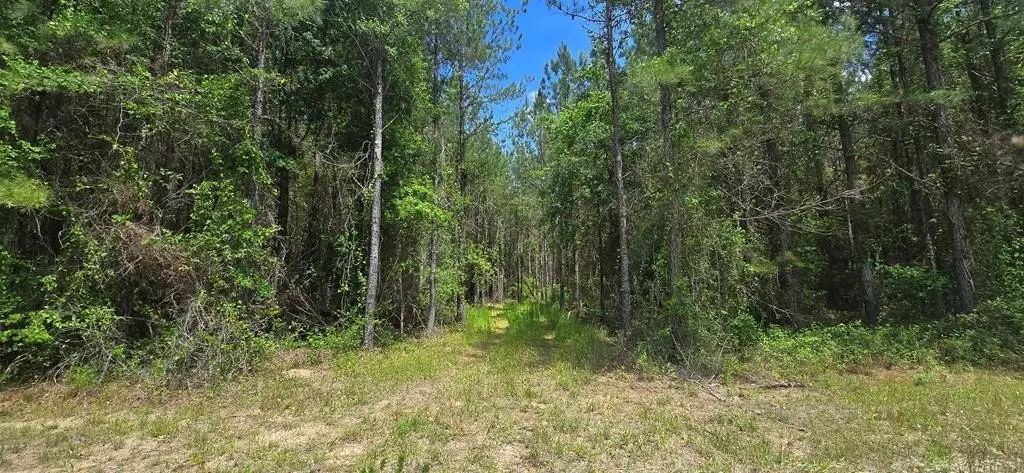 Picture 22
