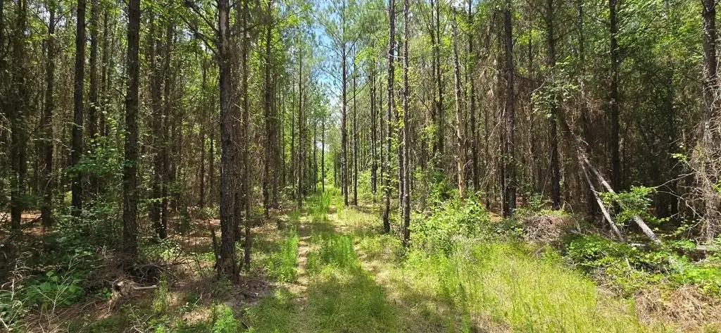 Picture 23