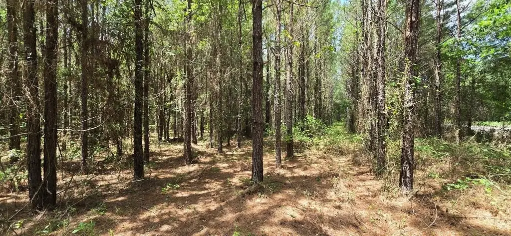 Picture 27