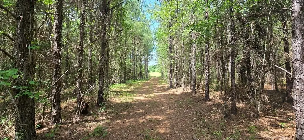 Picture 7