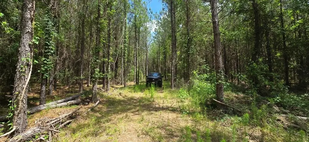Picture 9