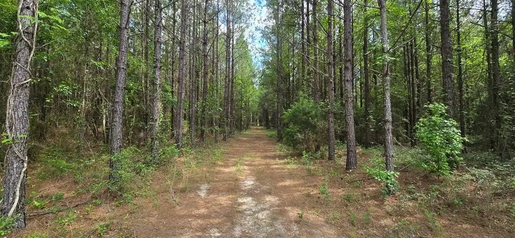 Picture 8