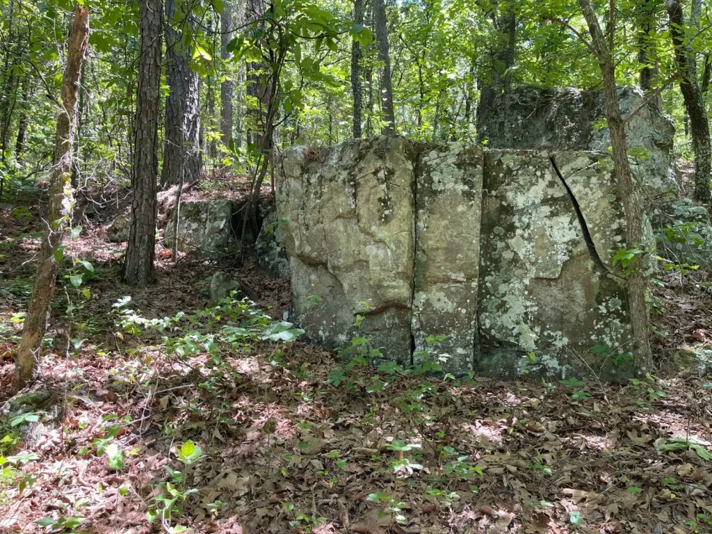Picture 25