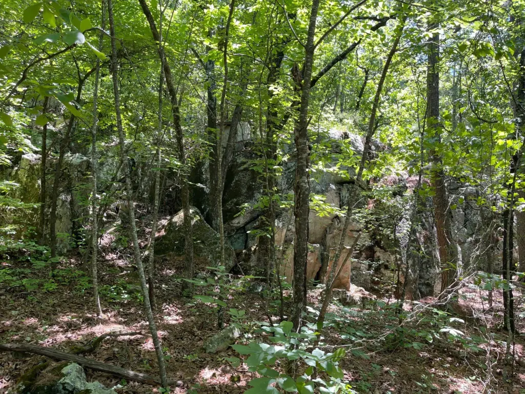 Picture 41