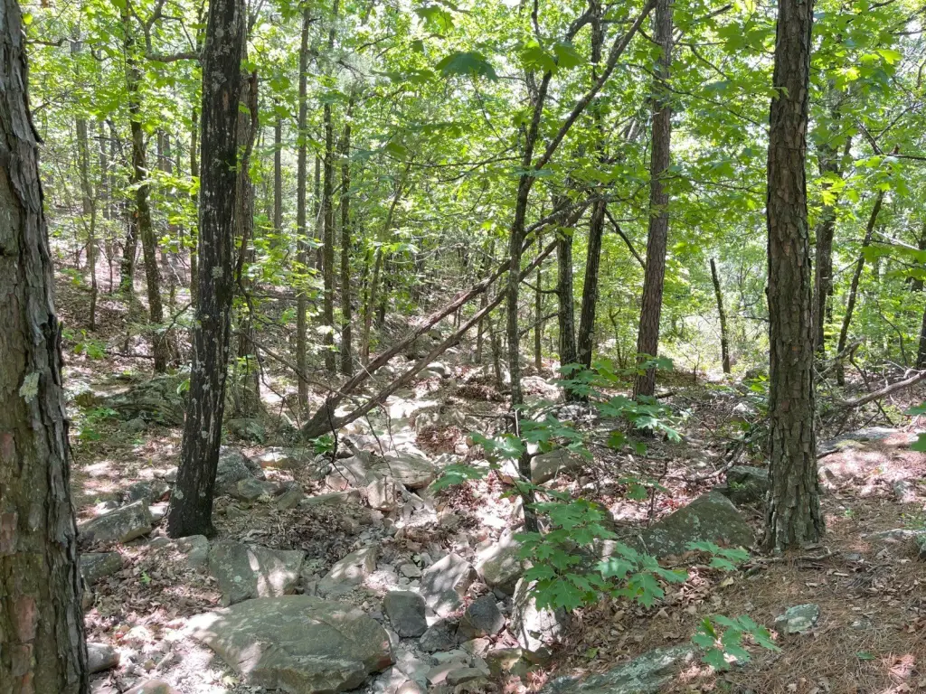 Picture 23