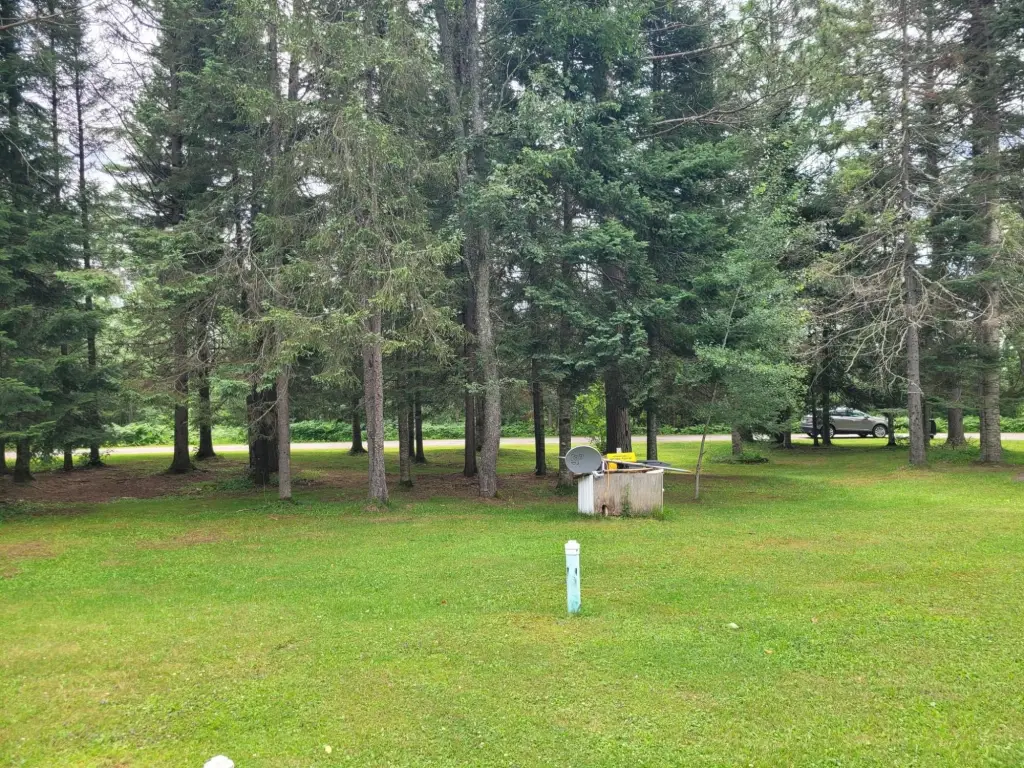 Picture 19
