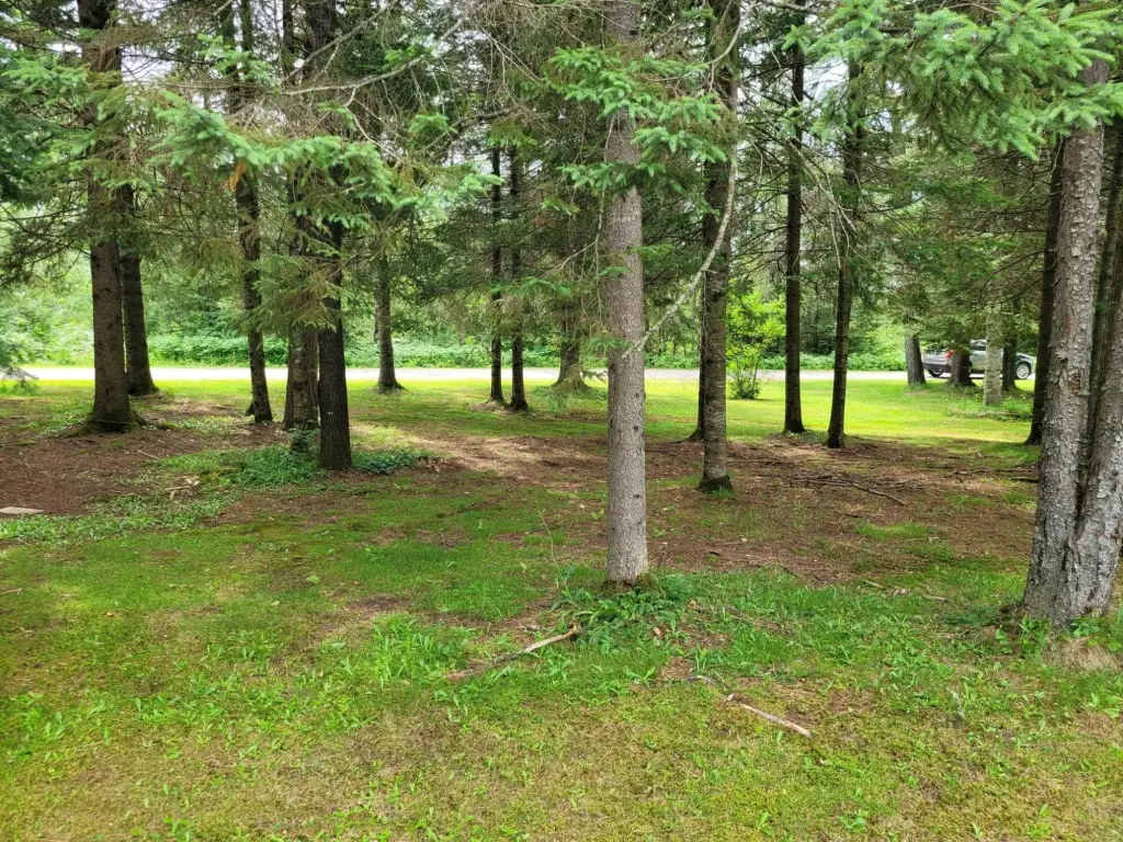 Picture 18