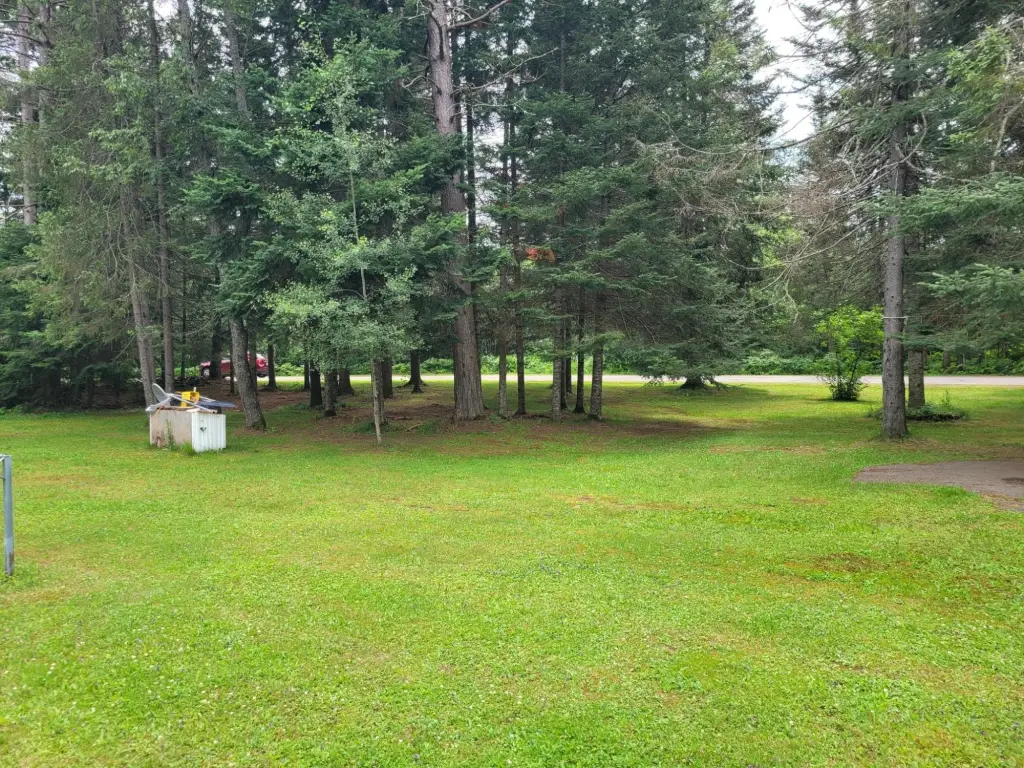 Picture 20