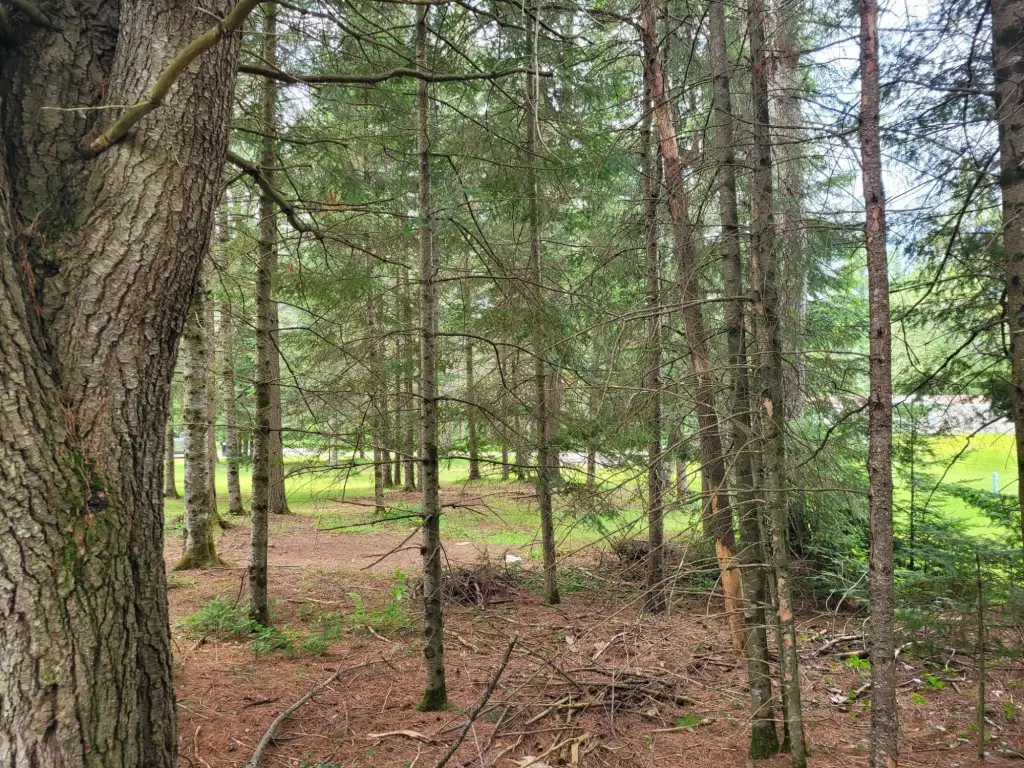 Picture 21