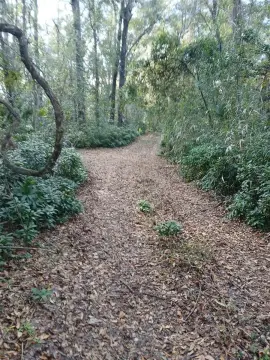 Gainesville Land Near Universities