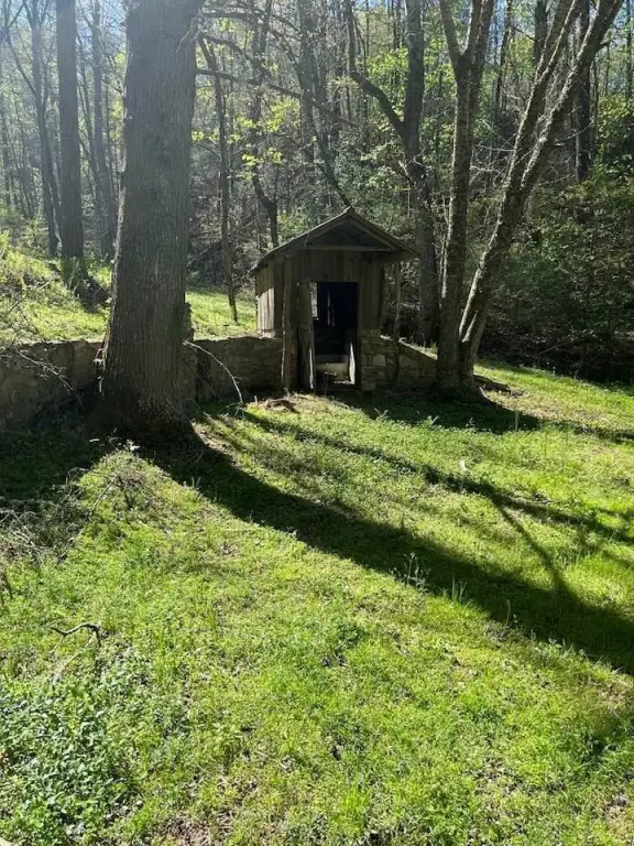 Picture 3