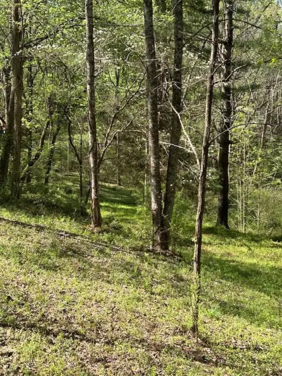 Picture 10