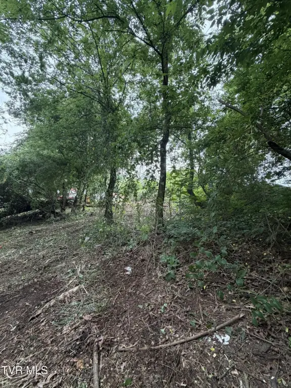 Picture 32