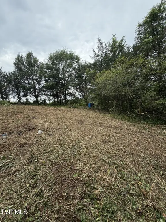 Picture 35