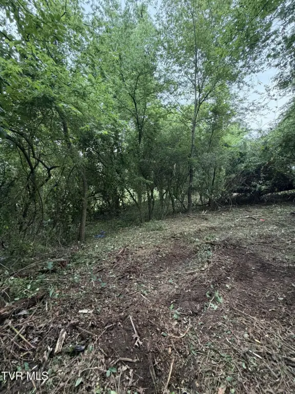 Picture 33