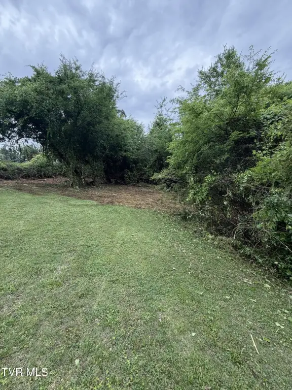 Picture 30