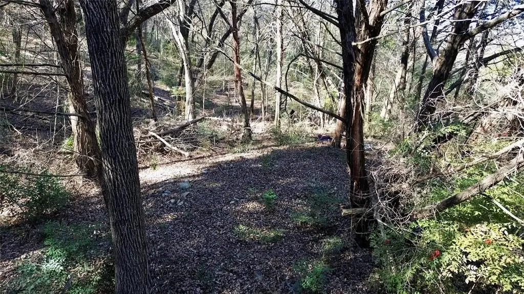 Picture 15