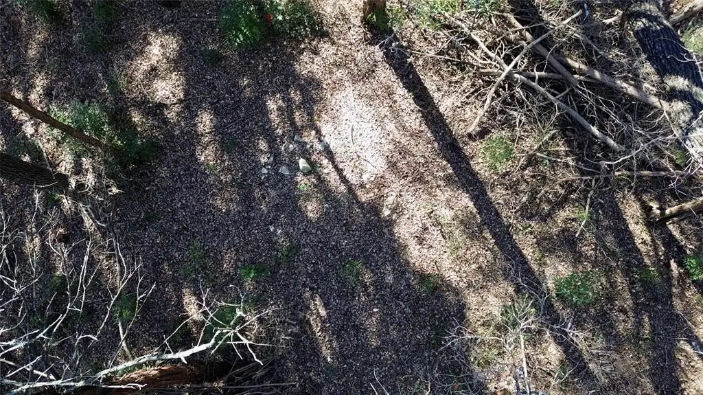 Picture 21