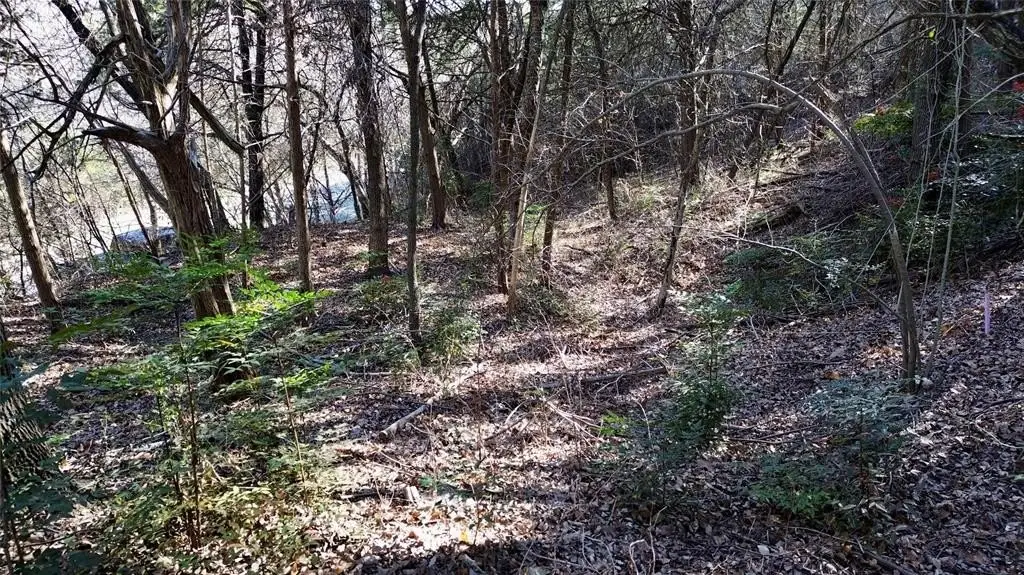 Picture 14