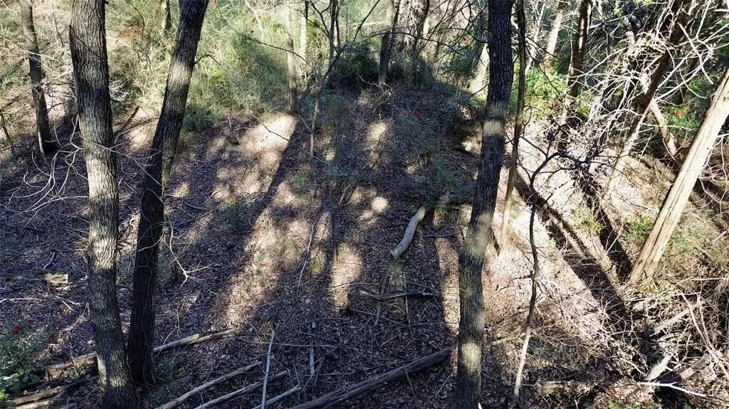 Picture 18