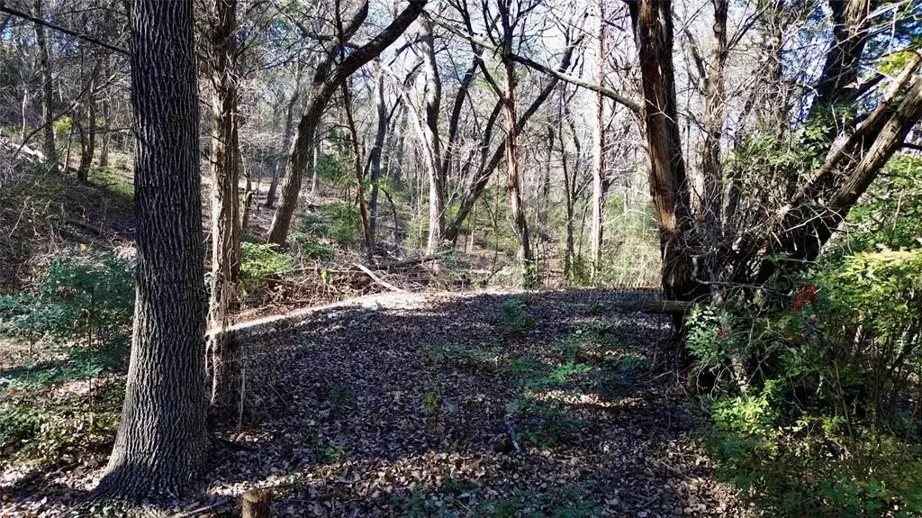 Picture 11