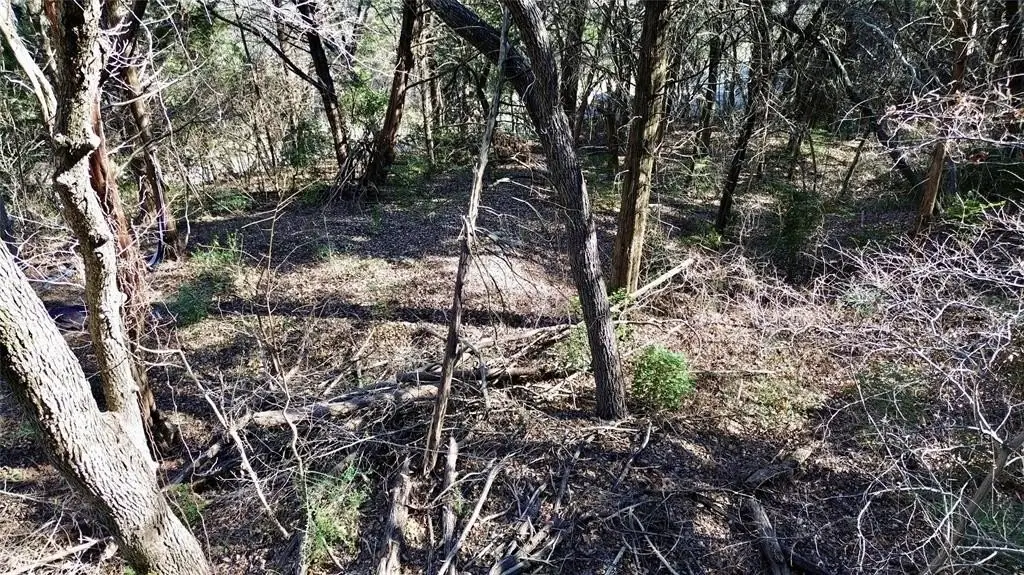 Picture 19