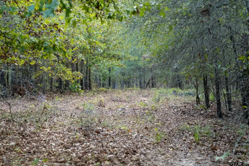 Picture 31