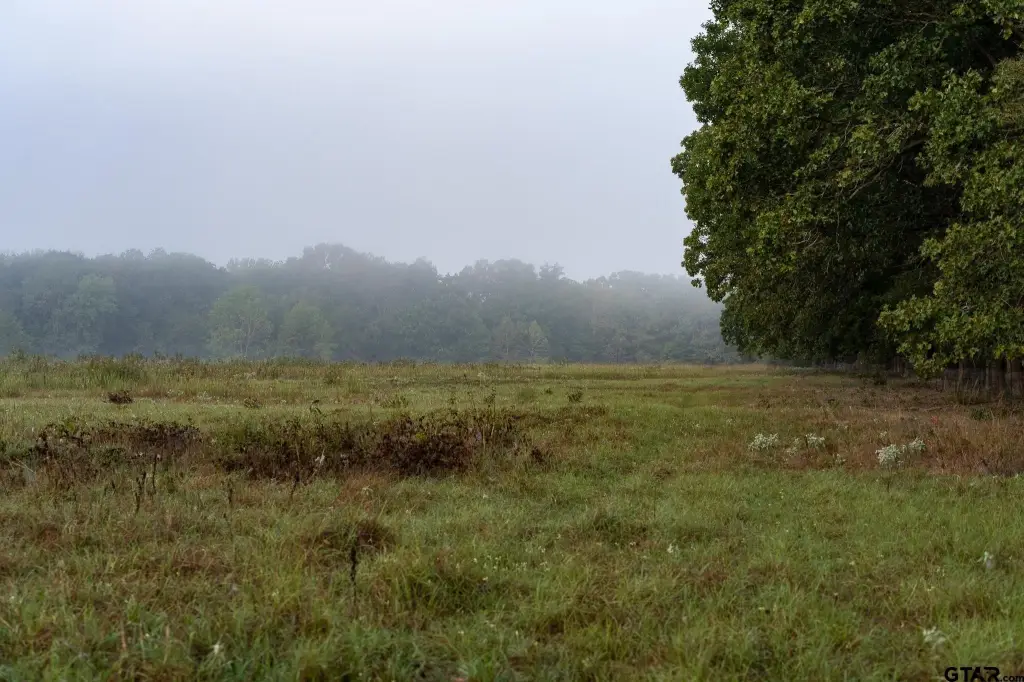 Picture 33