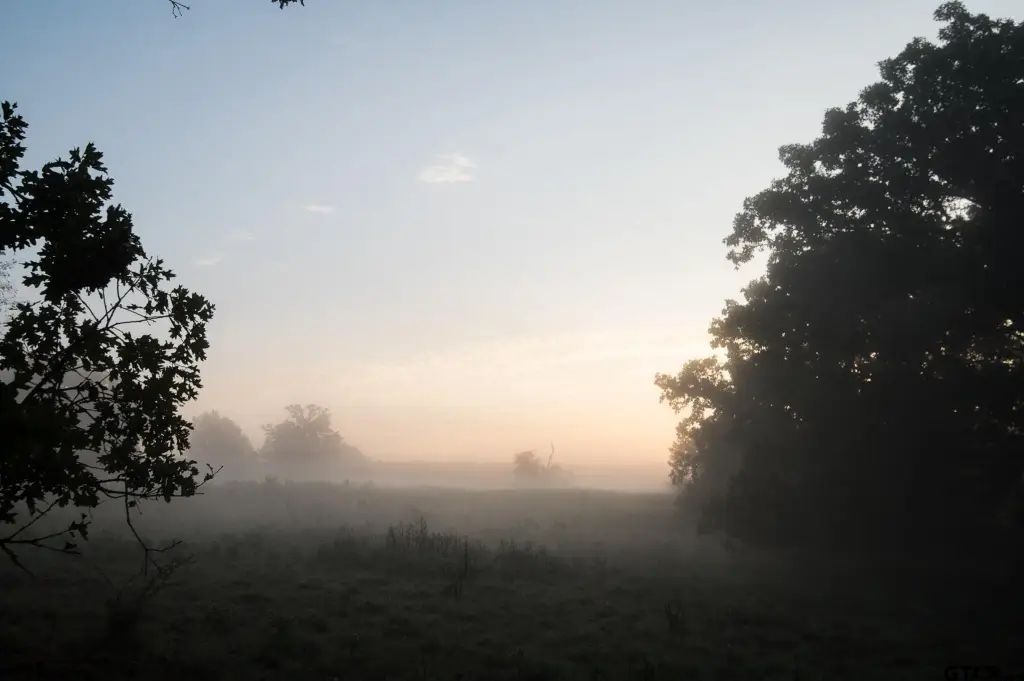 Picture 24