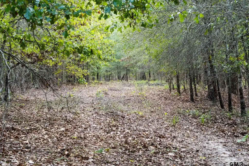 Picture 36