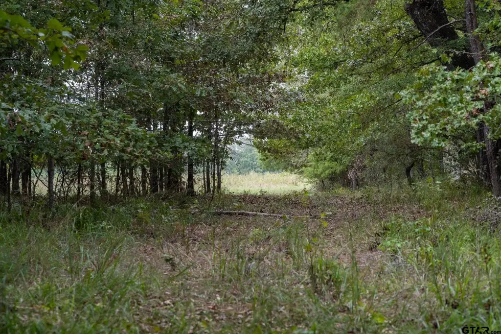 Picture 37