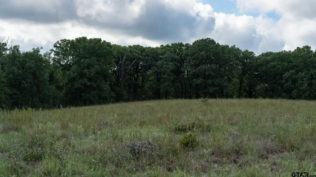 Picture 42