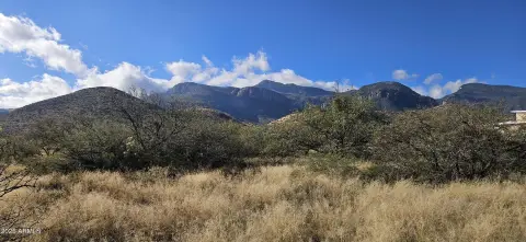 Hereford Land with Mountain Views