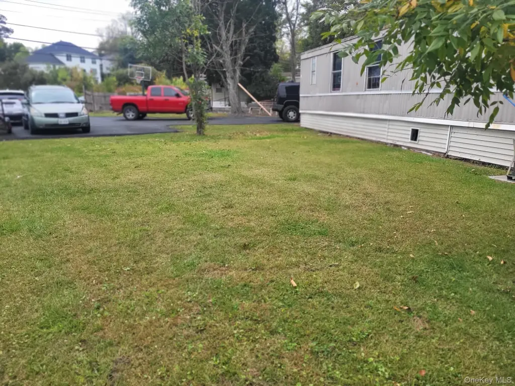 Picture 23