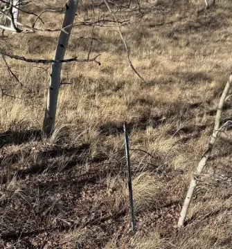 Land in Buffalo Subdivision